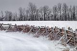 Snowy Rail Fence_DSCF03747